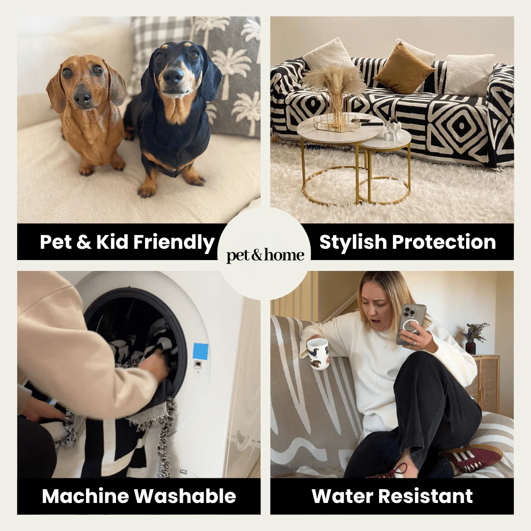 Pet-Friendly Blanket - Pet And Home
