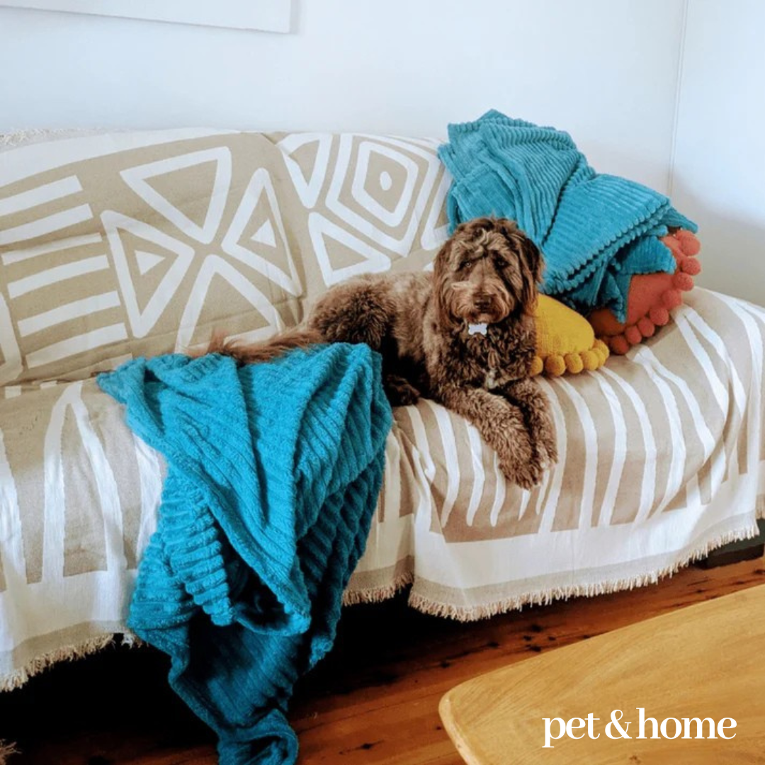 Pet-Friendly Blanket - Pet And Home