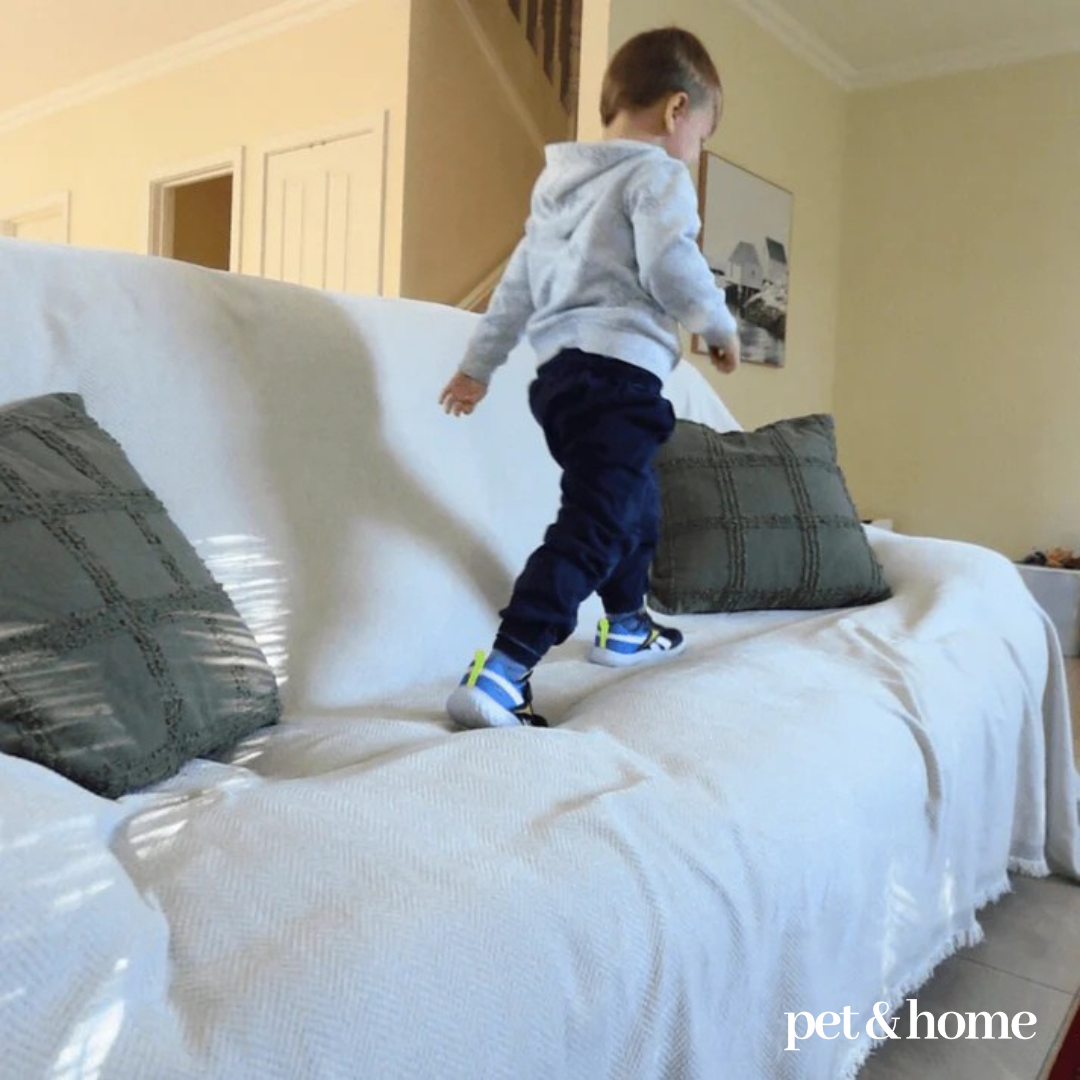 Pet-Friendly Blanket - Pet And Home