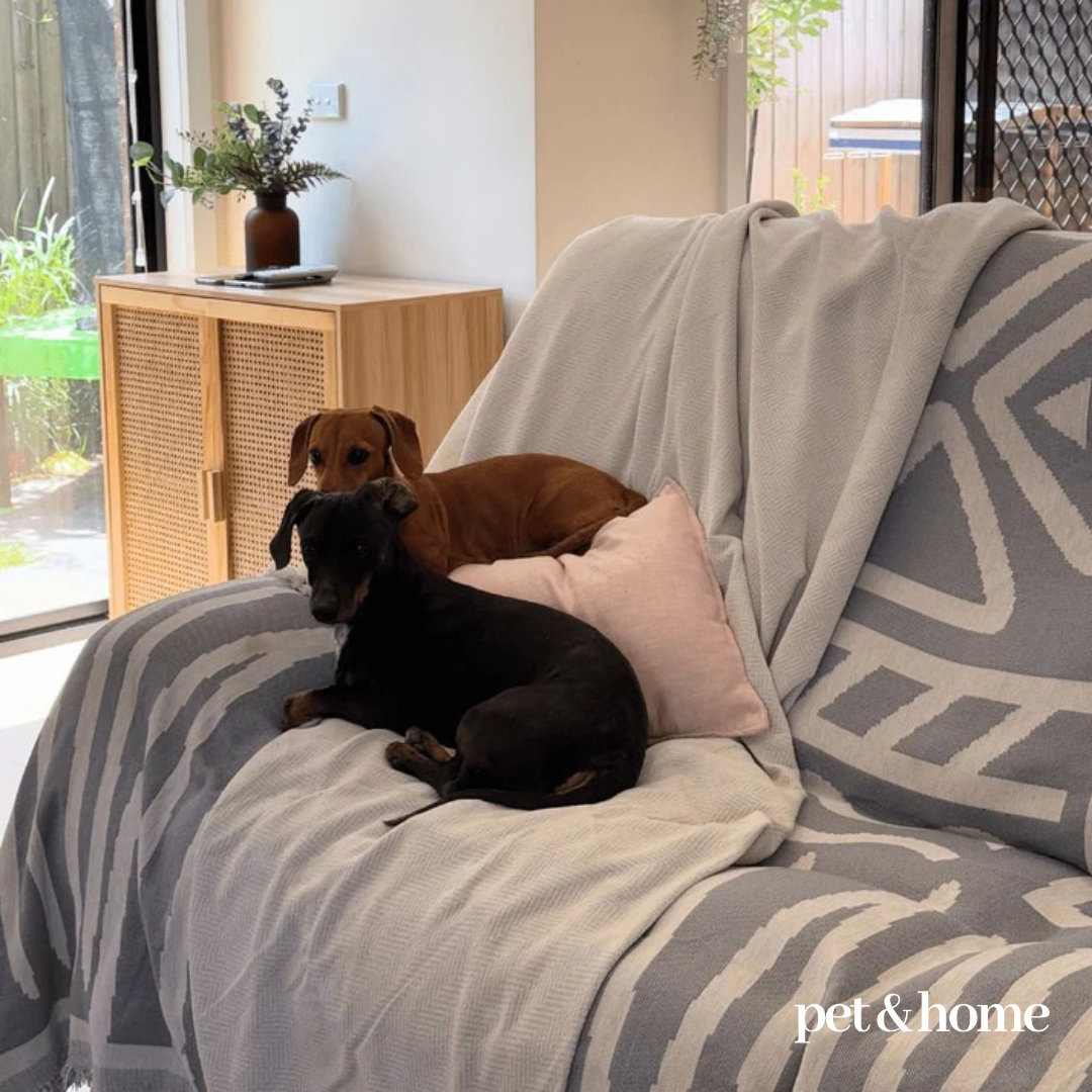 Pet-Friendly Blanket - Pet And Home