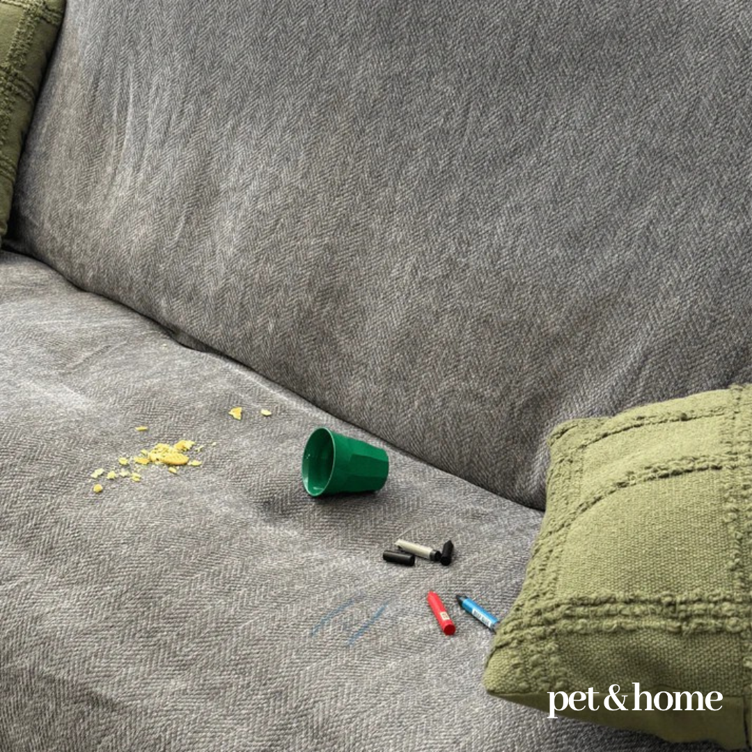 Pet-Friendly Blanket - Pet And Home
