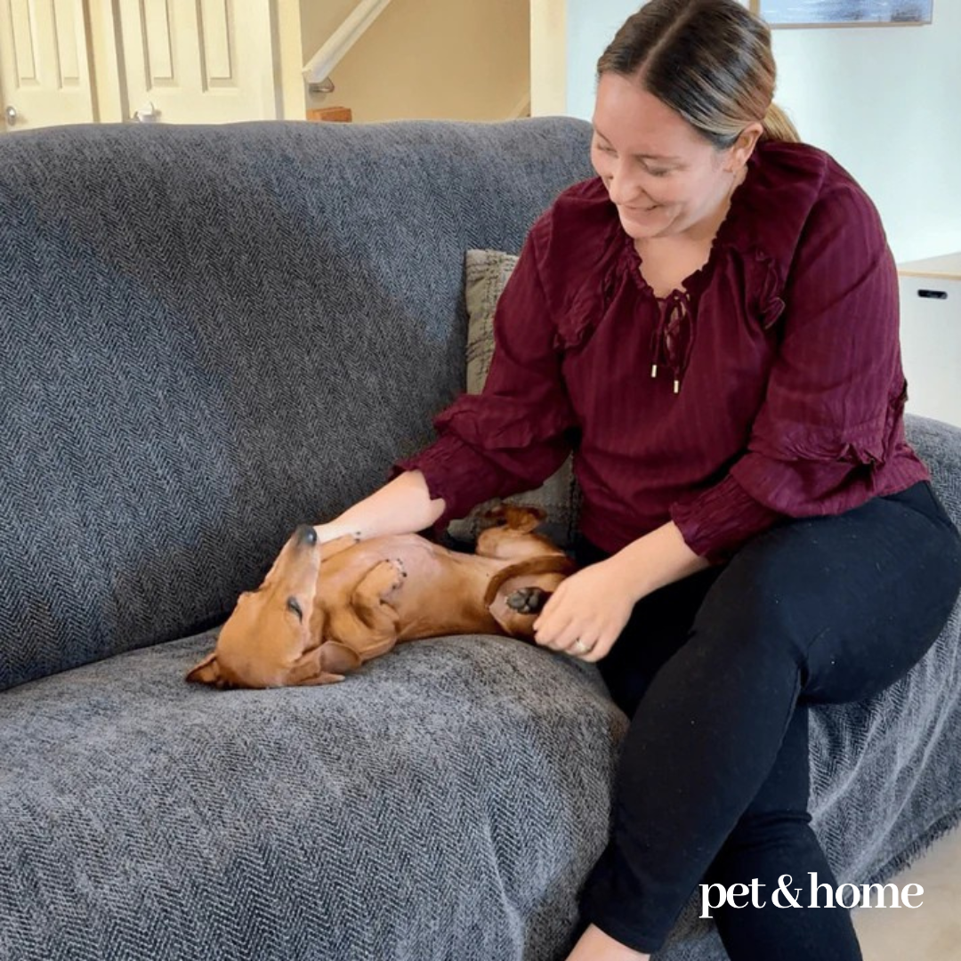 Pet-Friendly Blanket - Pet And Home