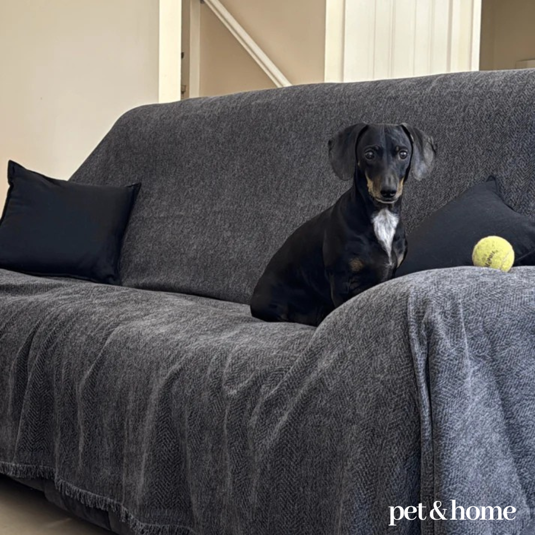 Pet-Friendly Blanket - Pet And Home