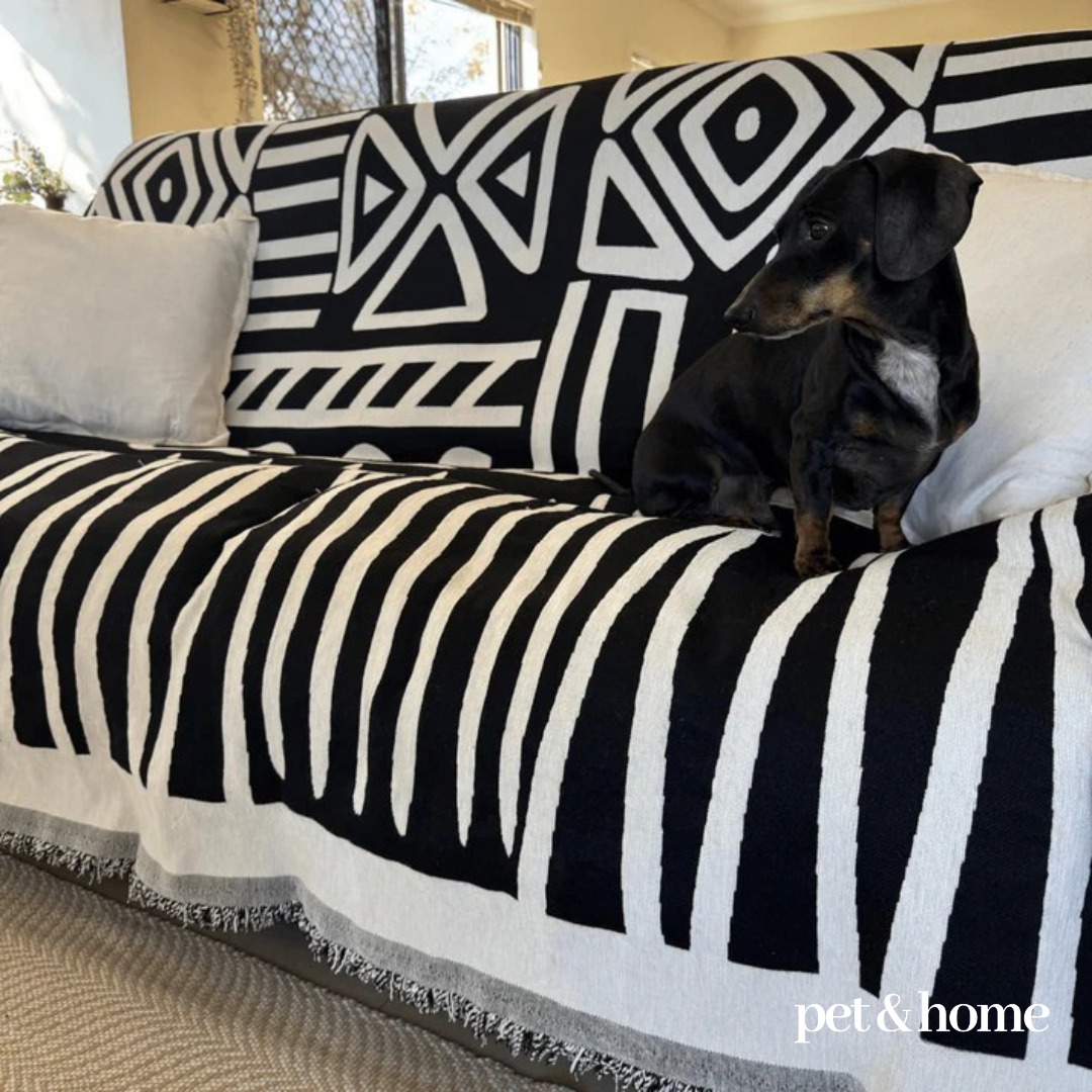 Pet-Friendly Blanket - Pet And Home